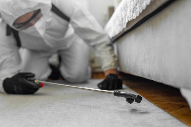 Professional Emergency Pest Control technician working in Huntingburg, IN