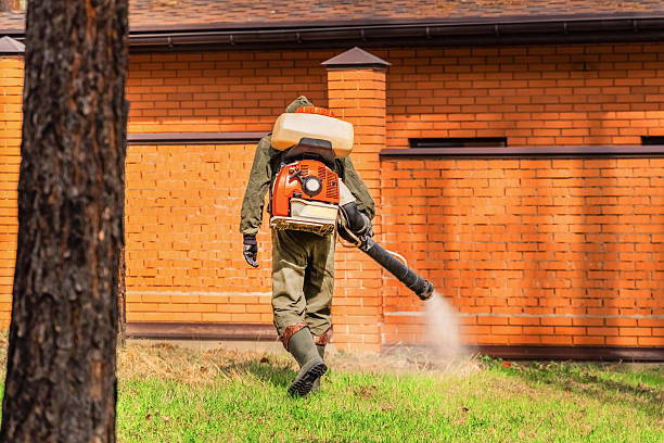 Trusted Cockroach Control service in Huntingburg, IN - Nex Pest Control